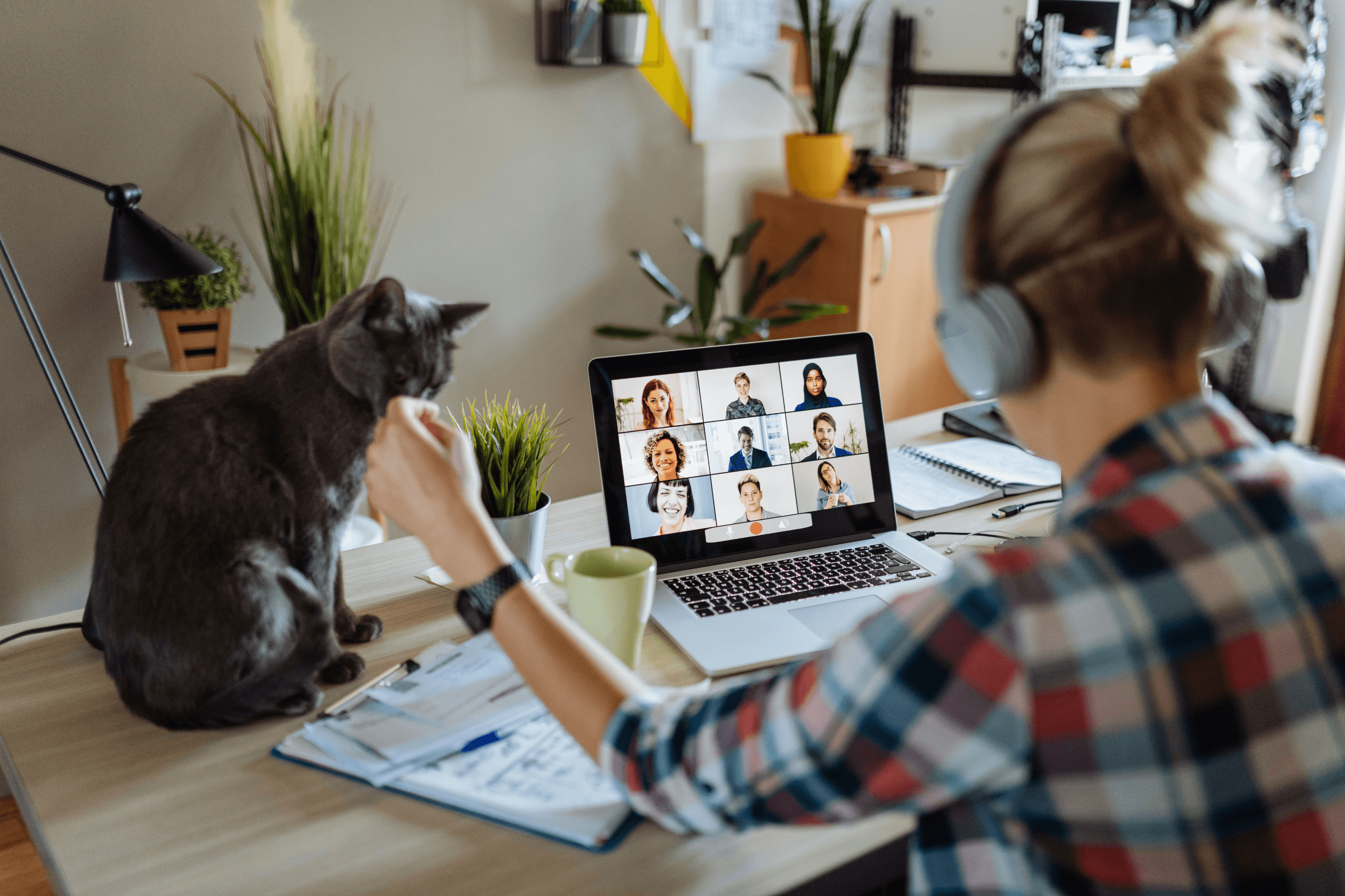 work from home